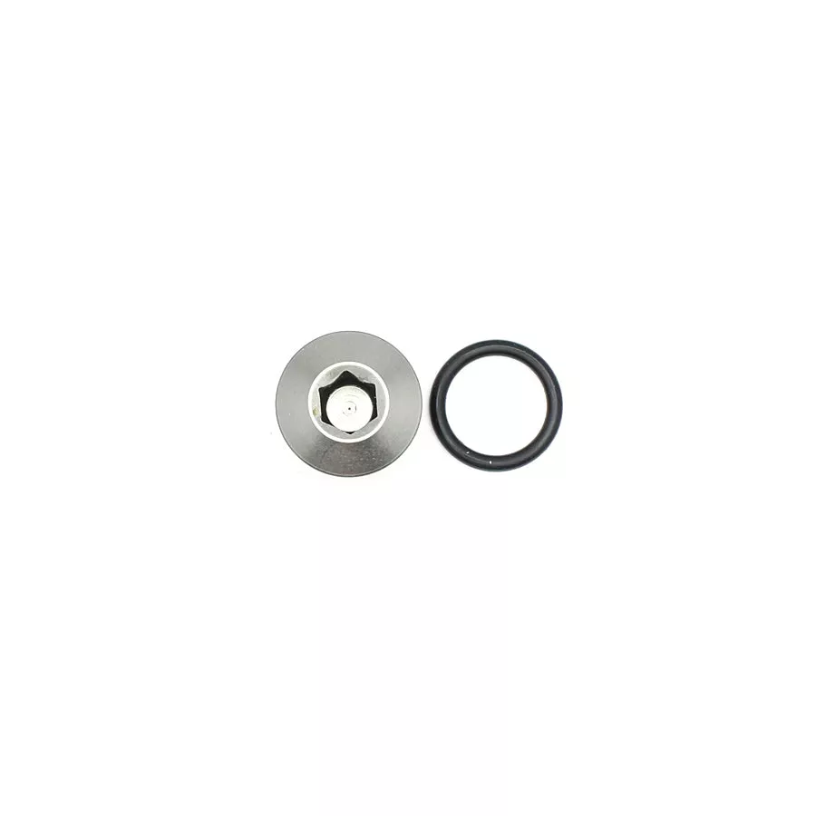 06-02-0717 DeatschWerks 6AN ORB Male Plug Low Profile Internal Allen/Hex (Incl. O-Ring)