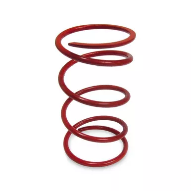 RZR 800 Team Secondary Spring by Quad Logic